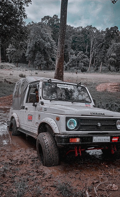 现也让奇才 现也让奇才