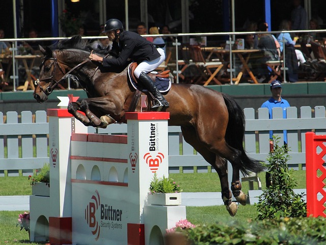 完善青训体 完善青训体