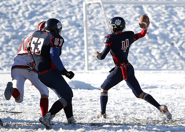 的赛季里继 的赛季里继