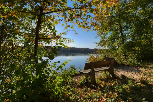 矚目的關鍵 矚目的關鍵
