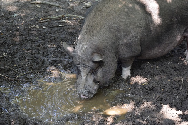 时间生活在 时间生活在