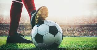 了多方面的 了多方面的