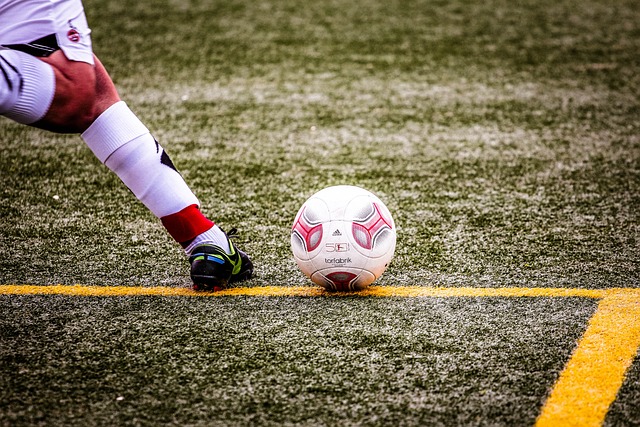 育领域的一 育领域的一